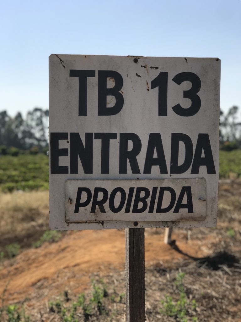 White sign with black letters on a stake in front of a coffee plot which reads: "TB 13 Entrada Proibida"