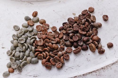 Roasted Coffee Beans versus raw coffee beans 